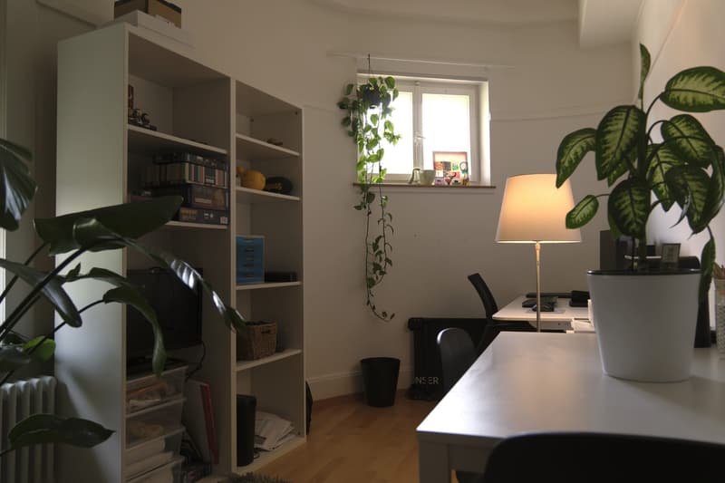 Furnished 4-room old building apartment in St Gallen - limited from November 2026 to June 2027 (2)