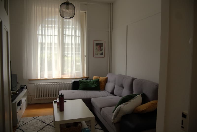 Furnished 4-room old building apartment in St Gallen - limited from November 2026 to June 2027 (5)