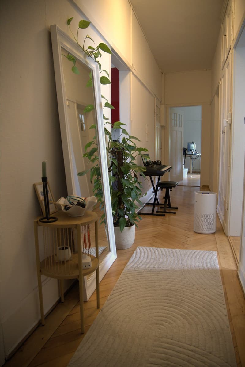 Furnished 4-room old building apartment in St Gallen - limited from November 2026 to June 2027 (1)