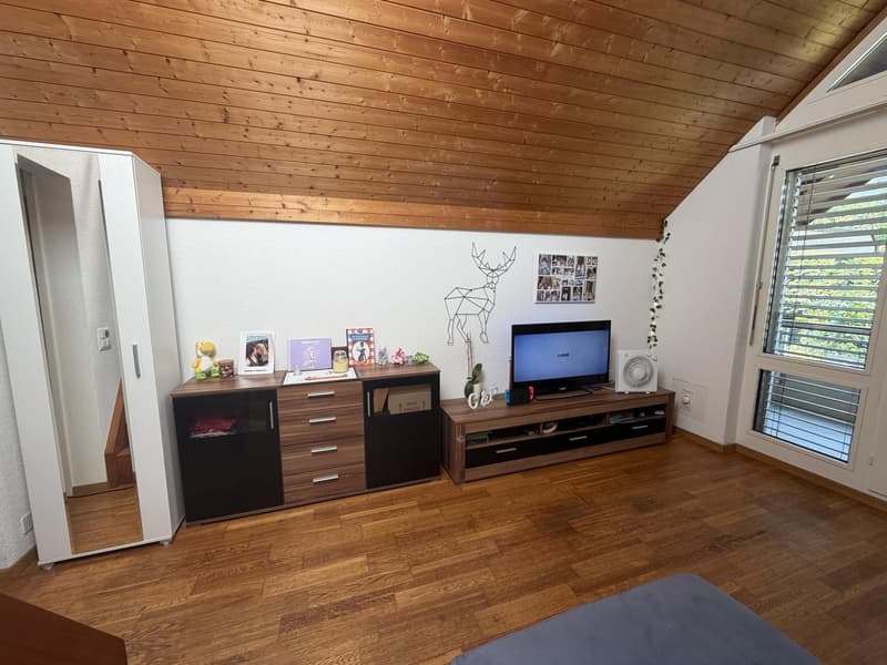 Traspaso de alquiler Apartamento 1.5 en Witikon (Zürich). Lease Transfer 1.5-Room Apartment (2)
