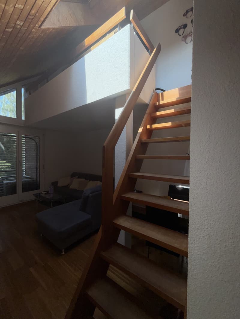 Traspaso de alquiler Apartamento 1.5 en Witikon (Zürich). Lease Transfer 1.5-Room Apartment (6)