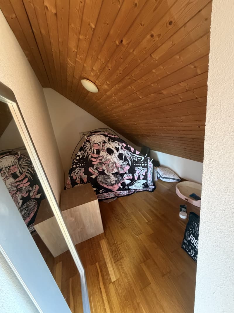 Traspaso de alquiler Apartamento 1.5 en Witikon (Zürich). Lease Transfer 1.5-Room Apartment (8)