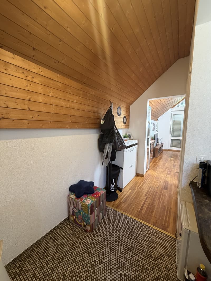 Traspaso de alquiler Apartamento 1.5 en Witikon (Zürich). Lease Transfer 1.5-Room Apartment (10)
