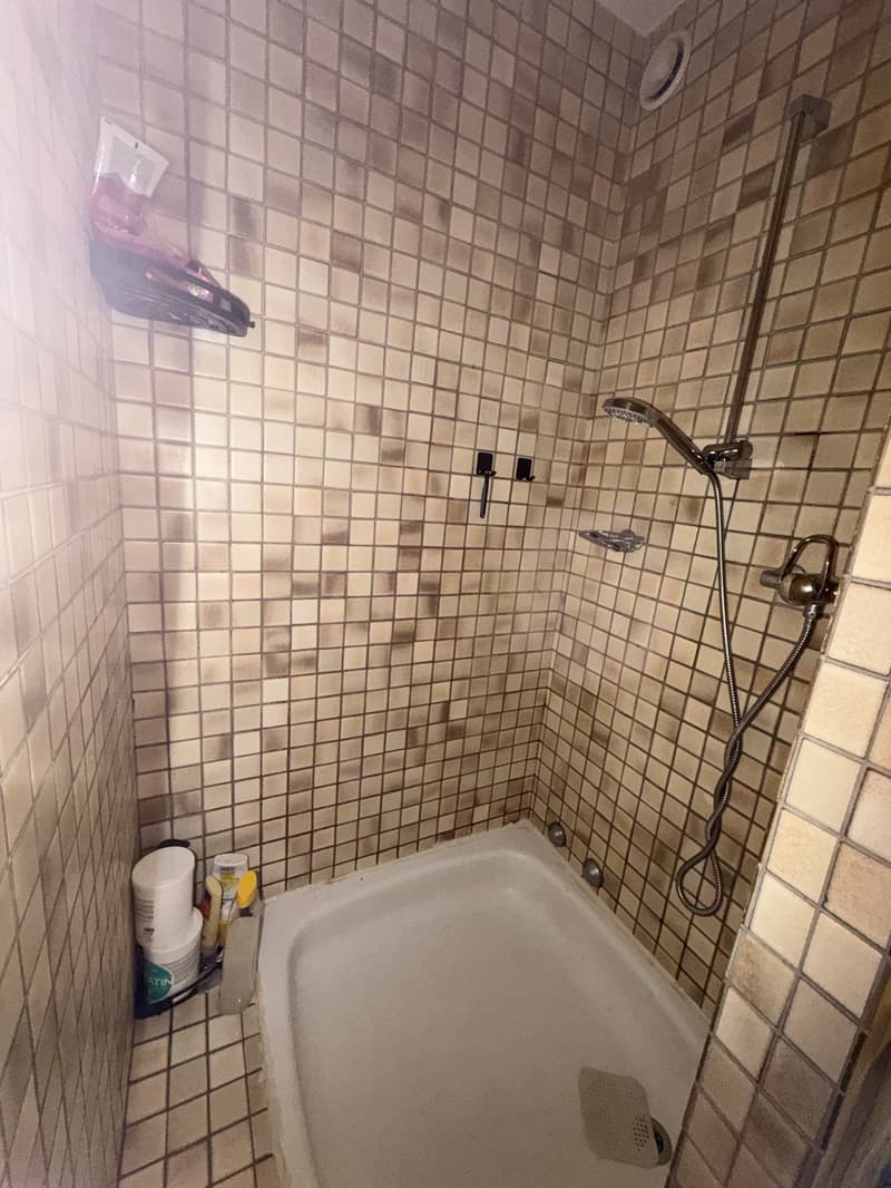 Traspaso de alquiler Apartamento 1.5 en Witikon (Zürich). Lease Transfer 1.5-Room Apartment (5)