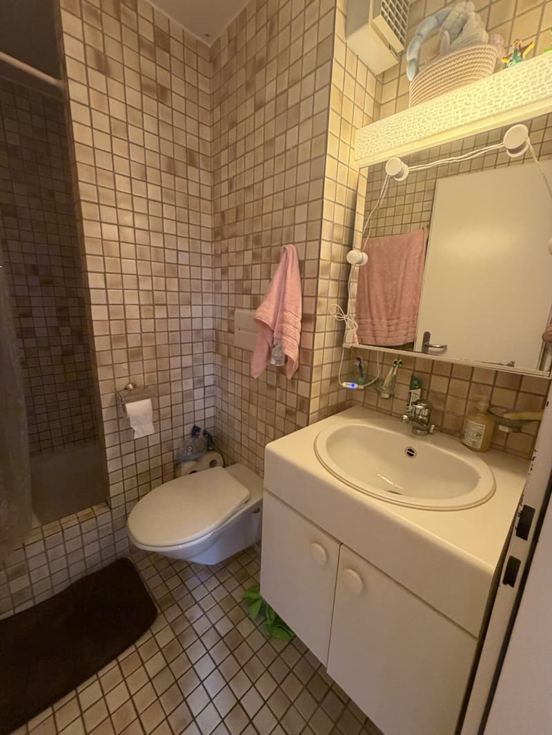Traspaso de alquiler Apartamento 1.5 en Witikon (Zürich). Lease Transfer 1.5-Room Apartment (4)