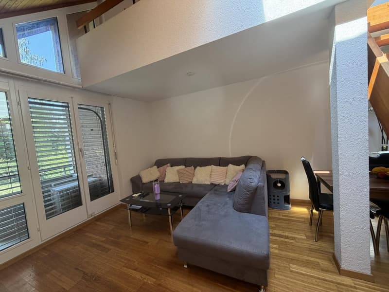 Traspaso de alquiler Apartamento 1.5 en Witikon (Zürich). Lease Transfer 1.5-Room Apartment (3)