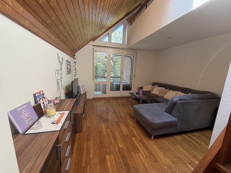 Traspaso de alquiler Apartamento 1.5 en Witikon (Zürich). Lease Transfer 1.5-Room Apartment (1)