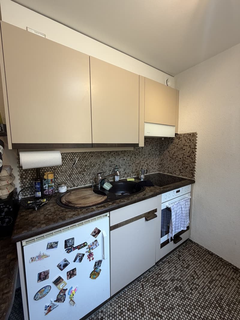 Traspaso de alquiler Apartamento 1.5 en Witikon (Zürich). Lease Transfer 1.5-Room Apartment (11)