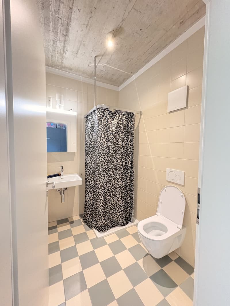 2 ½ locali appartamento, 3400 Burgdorf (2)