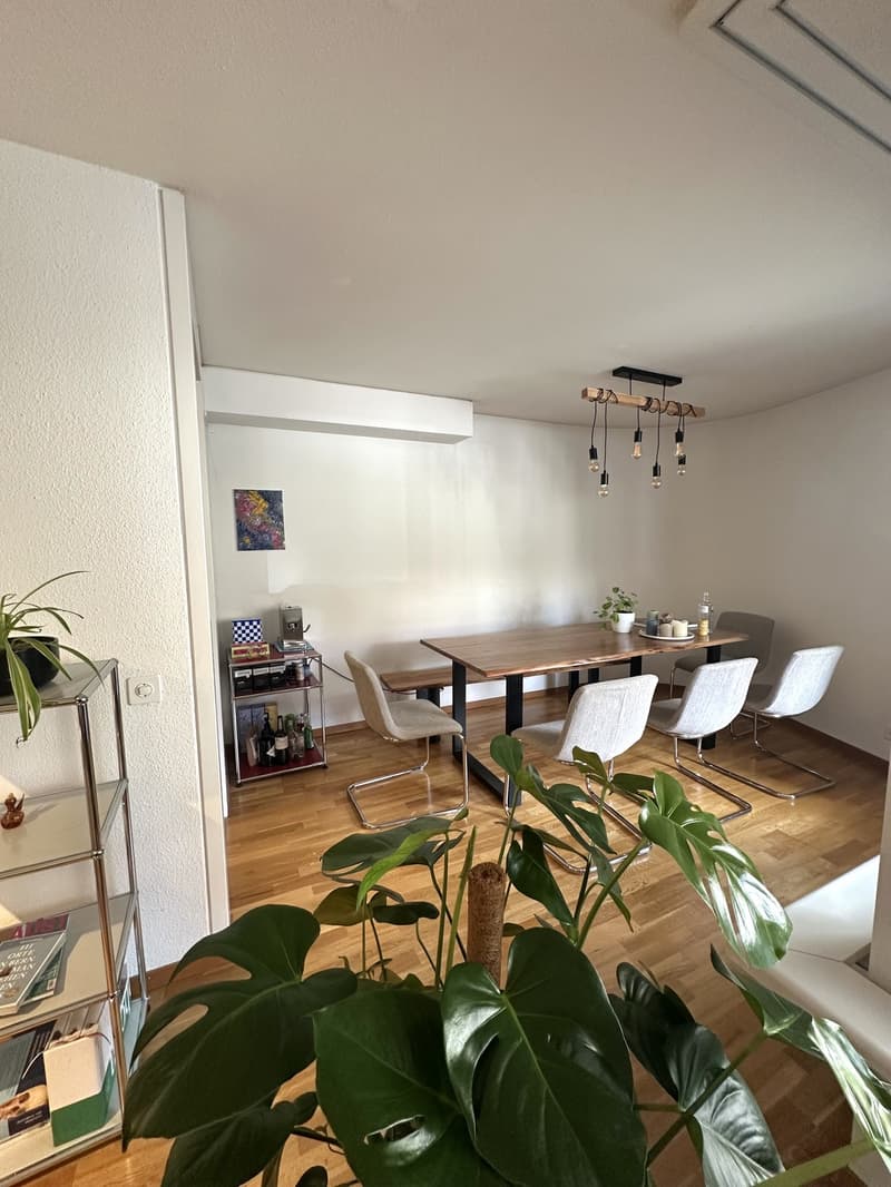 Great furnished 2.5-room apartment for a limited time from 01.12.2026-31.01.2027 (1)