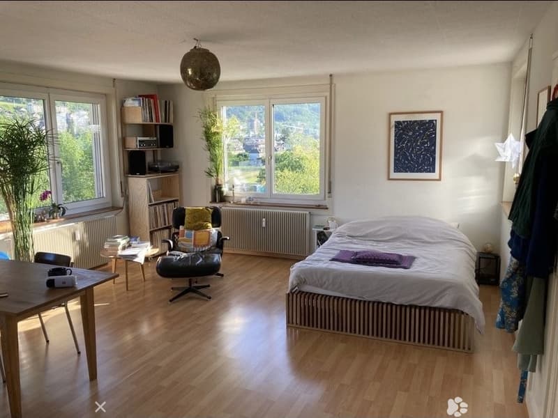 Nachmieter gesucht 1-Zimmerwohnung in Biel/Bienne (2)