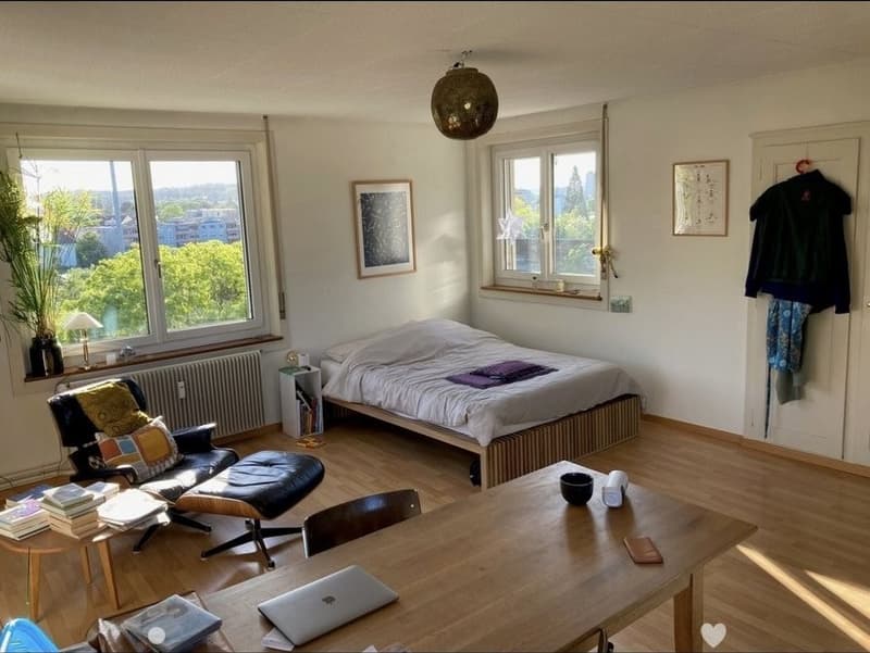 Nachmieter gesucht 1-Zimmerwohnung in Biel/Bienne (1)