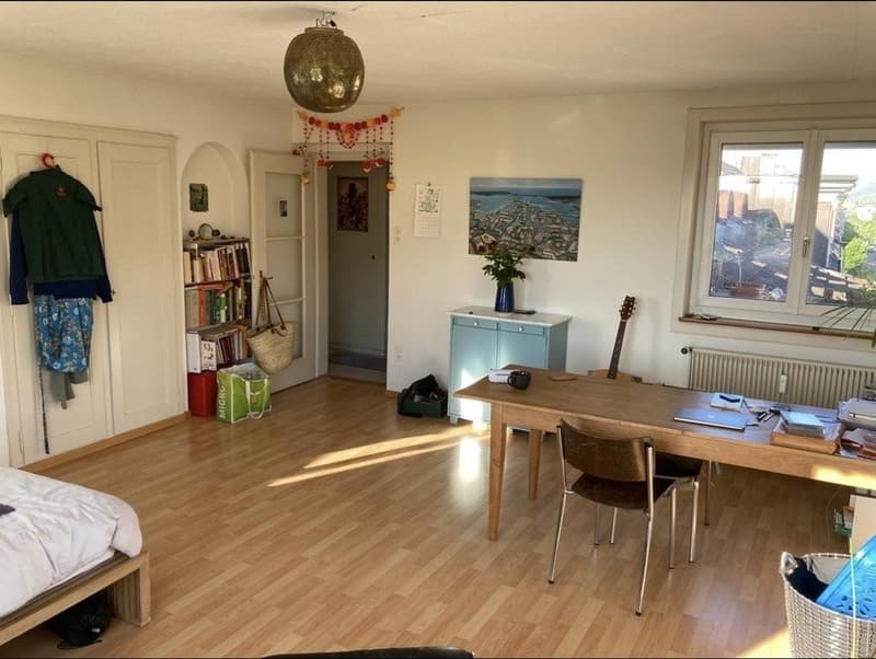 Cercasi inquilino per appartamento monolocale a Biel/Bienne (3)