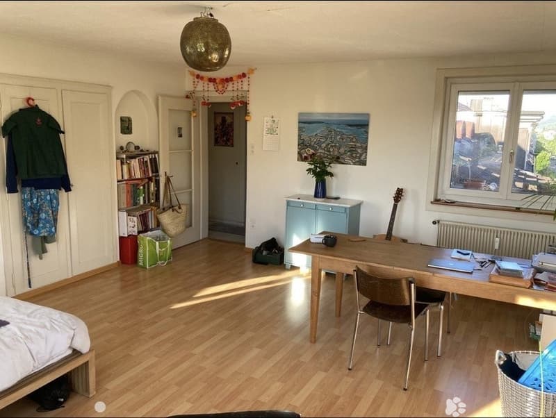 Nachmieter gesucht 1-Zimmerwohnung in Biel/Bienne (3)