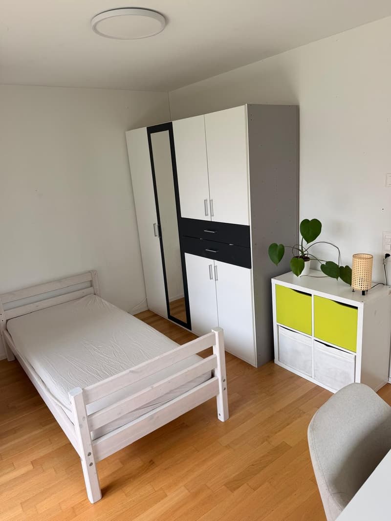 Student room in Kriens, Lucerne (3)