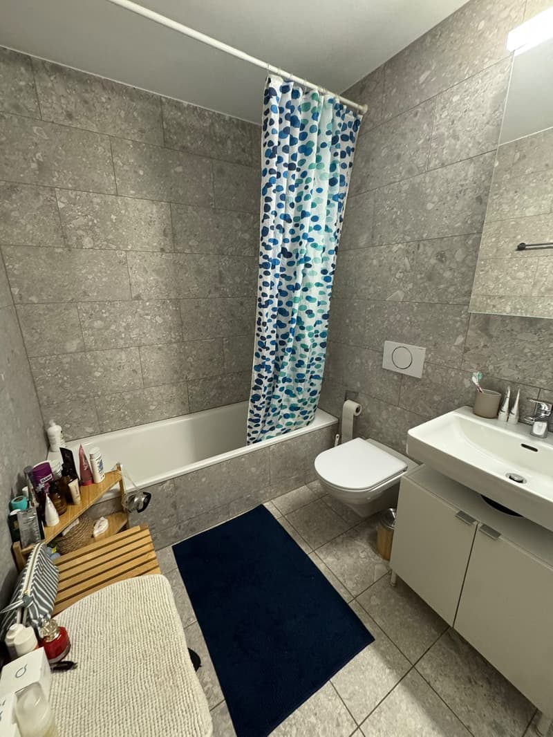 Student room in Kriens, Lucerne (11)