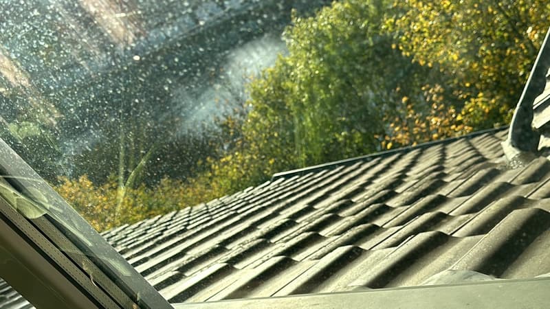 Aare View 2.5 Rooftop Flat Cozy :) (2)