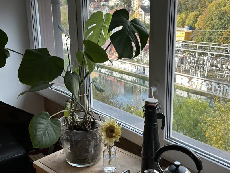 Aare View 2.5 Rooftop Flat Cozy :) (8)