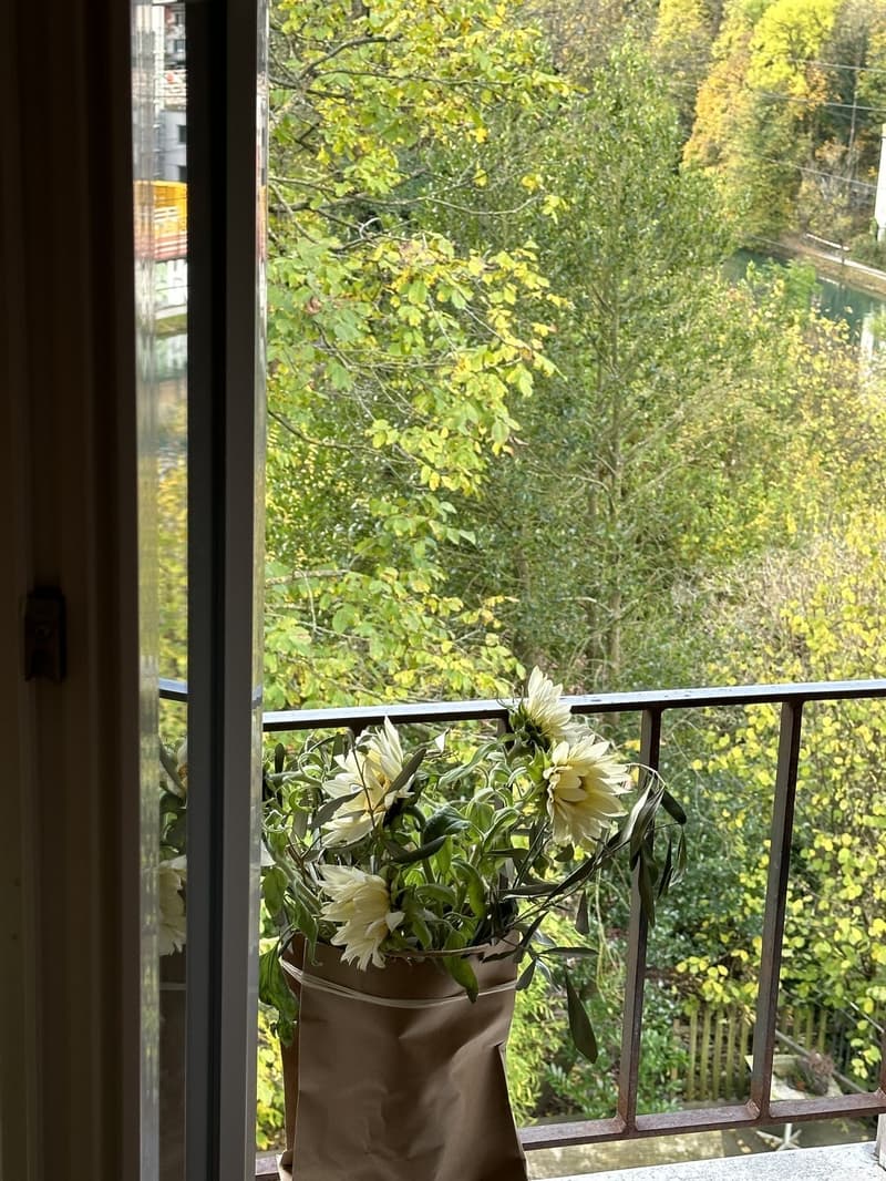 Aare View 2.5 Rooftop Flat Cozy :) (10)