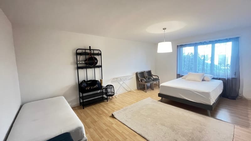 Room - Spacious & Quiet amid Nature (1)
