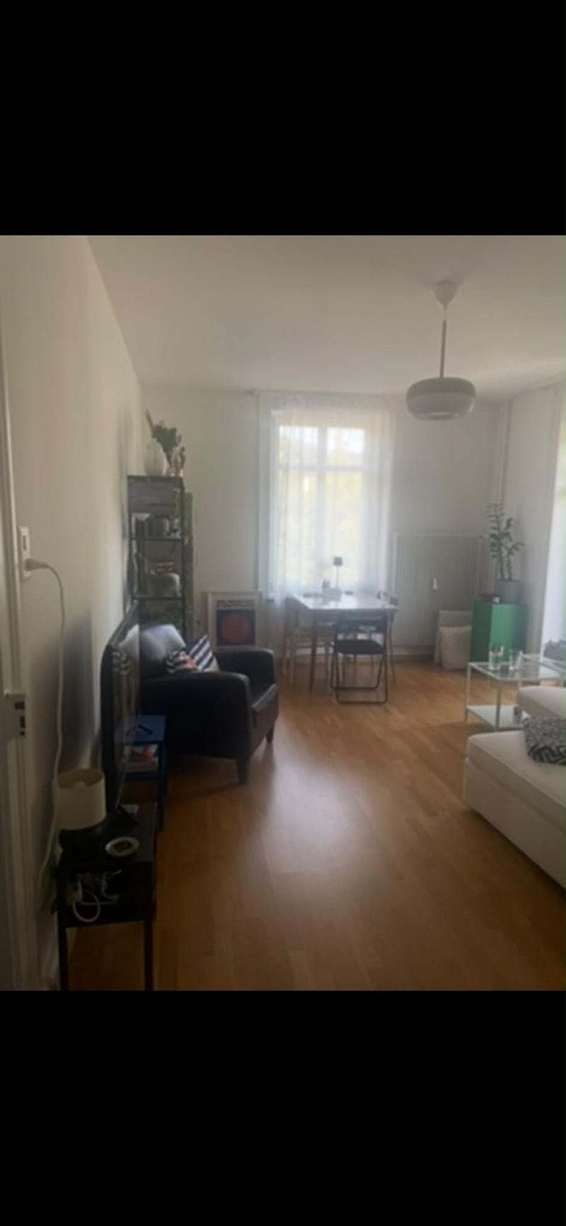 Loving roommate wanted for 2-person shared apartment (4)