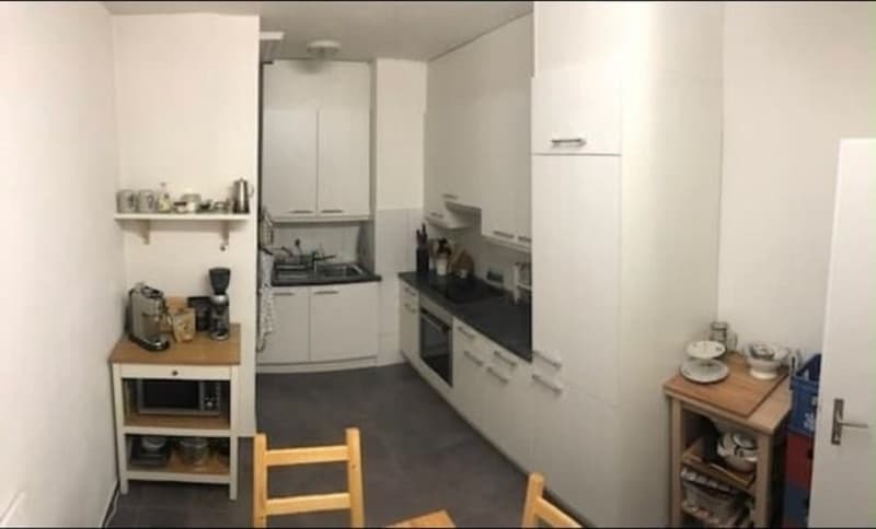 Loving roommate wanted for 2-person shared apartment (1)