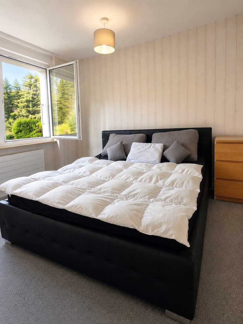 AVAILABLE NOW | Bright & Spacious Apartment in Kandersteg (1)