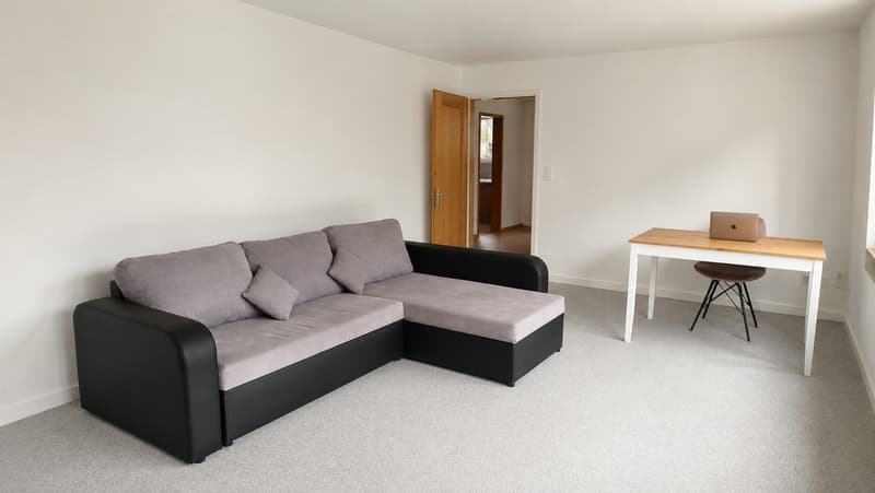 AVAILABLE NOW | Bright & Spacious Apartment in Kandersteg (5)