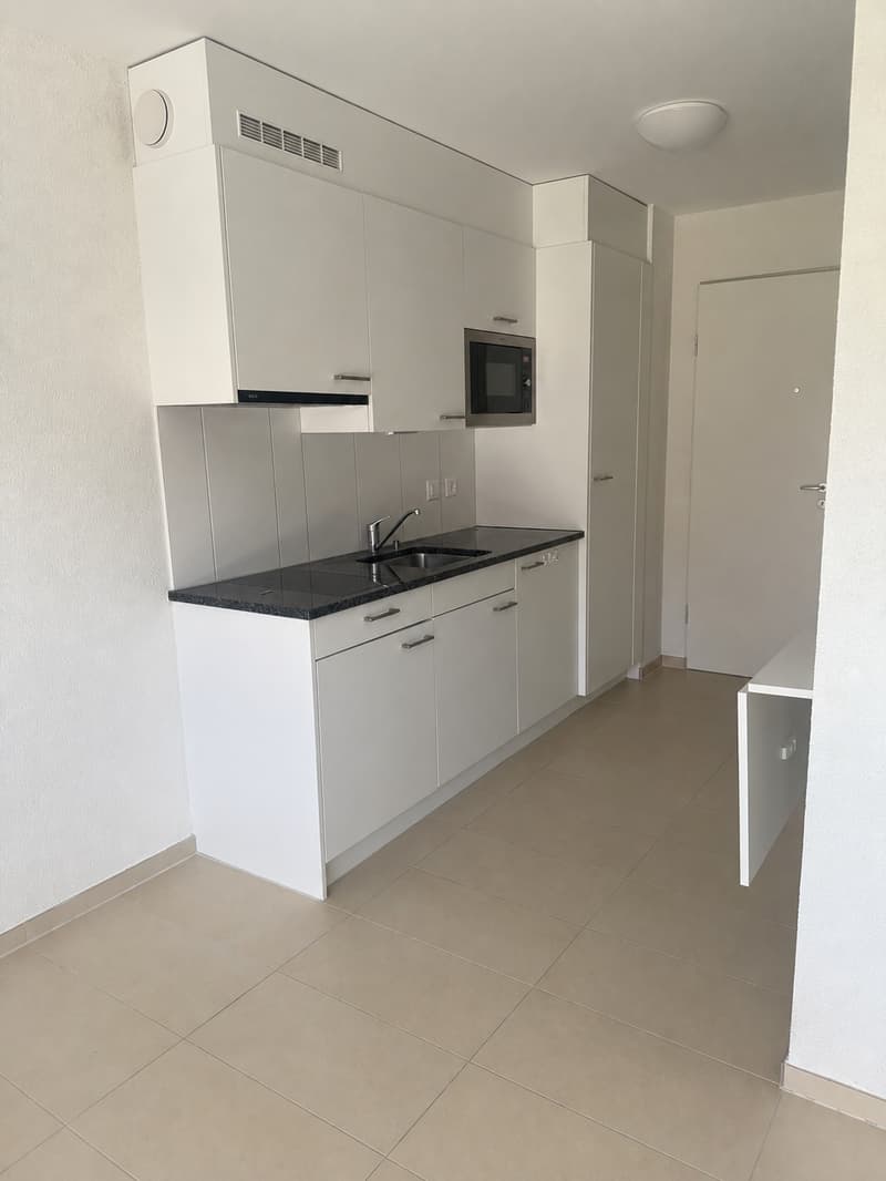 Monolocale 1,5 locali (1)