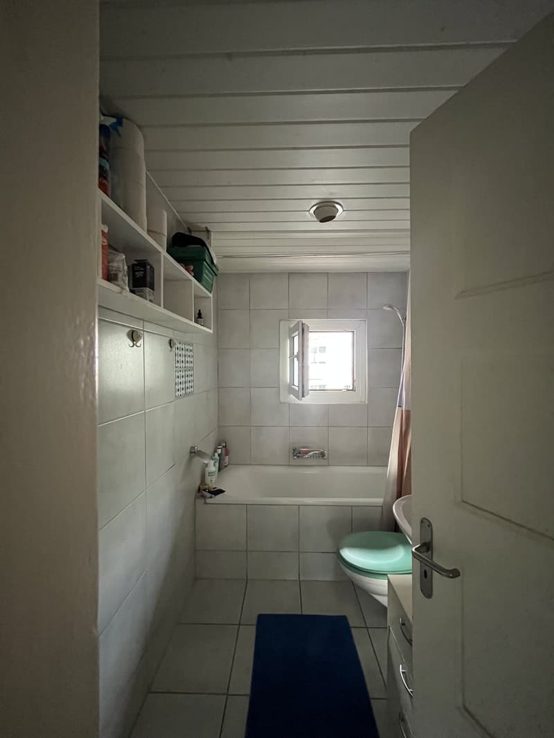 Bright room in a 3.5-room shared apartment in Zurich (Kreis 4) (8)