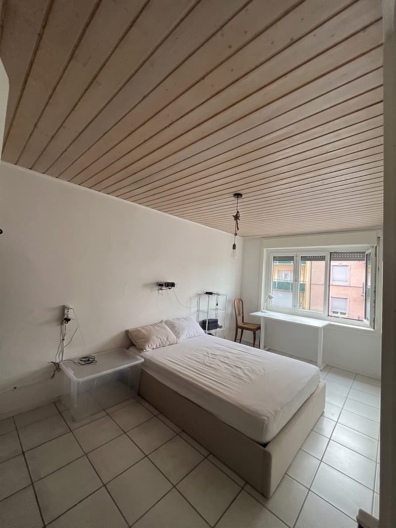 Bright room in a 3.5-room shared apartment in Zurich (Kreis 4) (2)