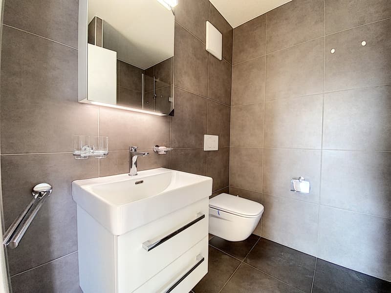 Schönes Apartment zur Miete in Lausanne (4)