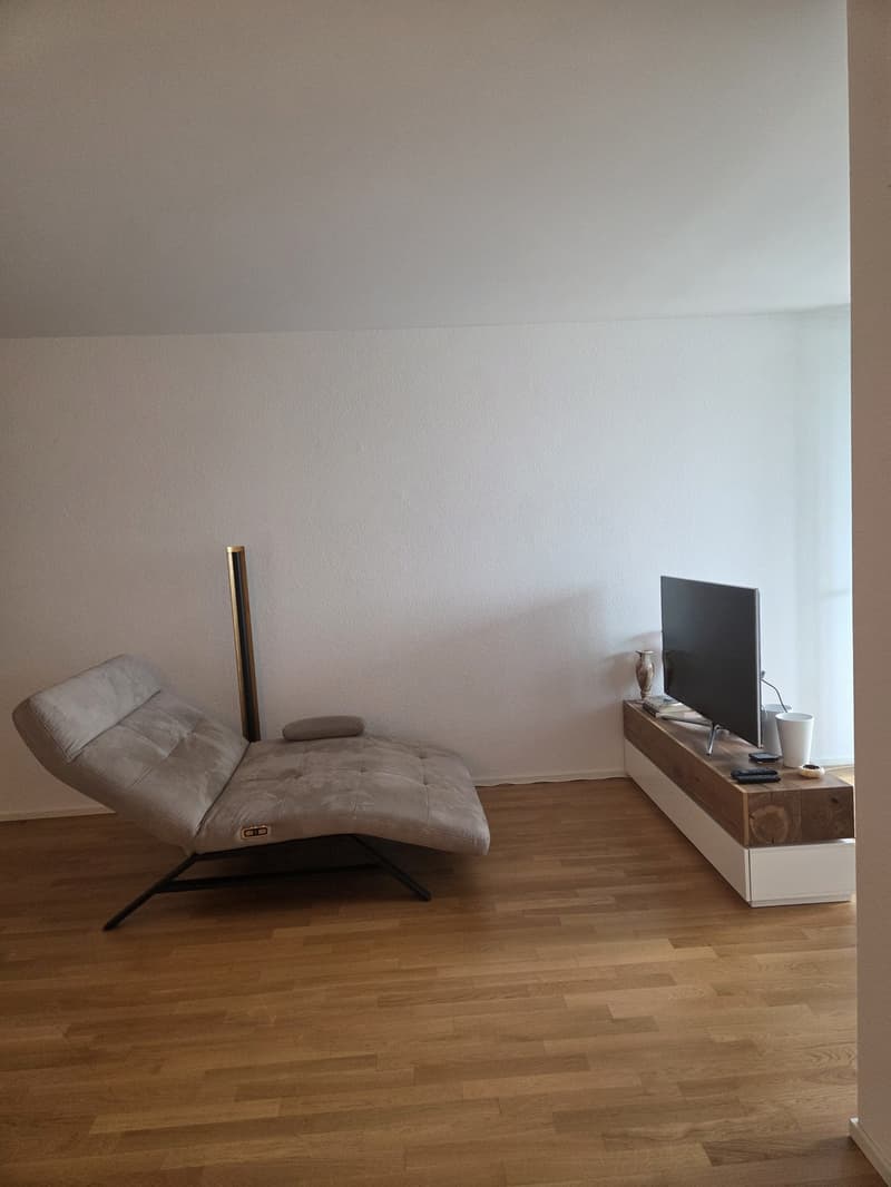 APPARTEMENT 1 CHAMBRE 10.08.2026 2'250 CHF SOUS-LOCATION (5)