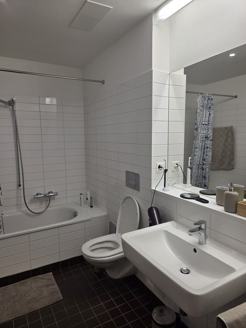 APPARTEMENT 1 CHAMBRE 10.08.2026 2'250 CHF SOUS-LOCATION (3)