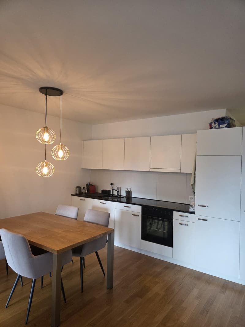 APPARTEMENT 1 CHAMBRE 10.08.2026 2'250 CHF SOUS-LOCATION (2)