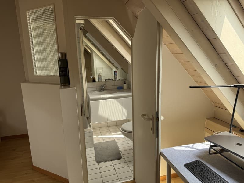 Furnished room with private bathroom in a shared flat (6)