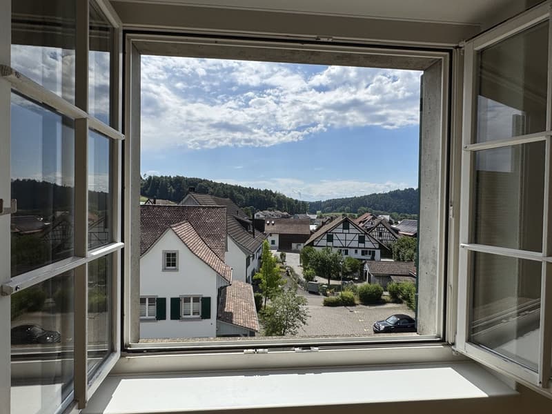 Furnished room with private bathroom in a shared flat (11)