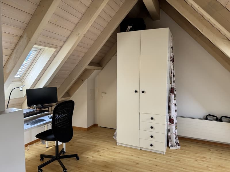 Furnished room with private bathroom in a shared flat (3)