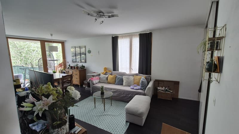 Wiederaufnahme des Mietvertrags für eine HBM-Wohnung mit 4 Zimmern im Sécheron-Viertel (7)