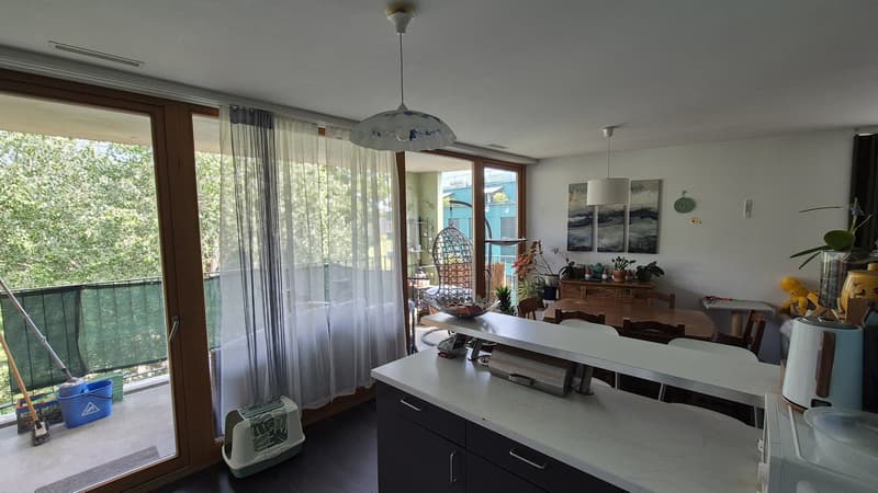 Wiederaufnahme des Mietvertrags für eine HBM-Wohnung mit 4 Zimmern im Sécheron-Viertel (4)