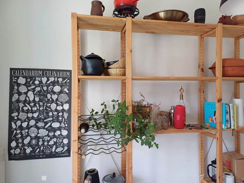 WG Zimmer in schöner Altbauwohnung (4)