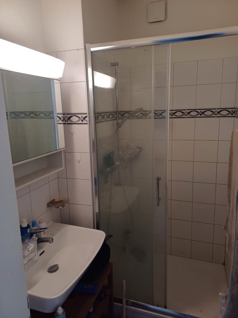WG Zimmer in schöner Altbauwohnung (8)