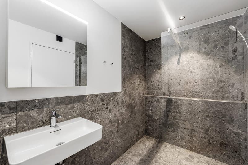 Brand New (2026) Fully Furnished Apartment in Zurich Altstetten  Permanent Contract (3)