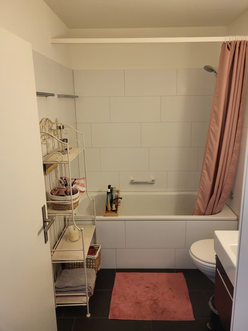 Tenant wanted for 2.5-room apartment in ideal location (4)