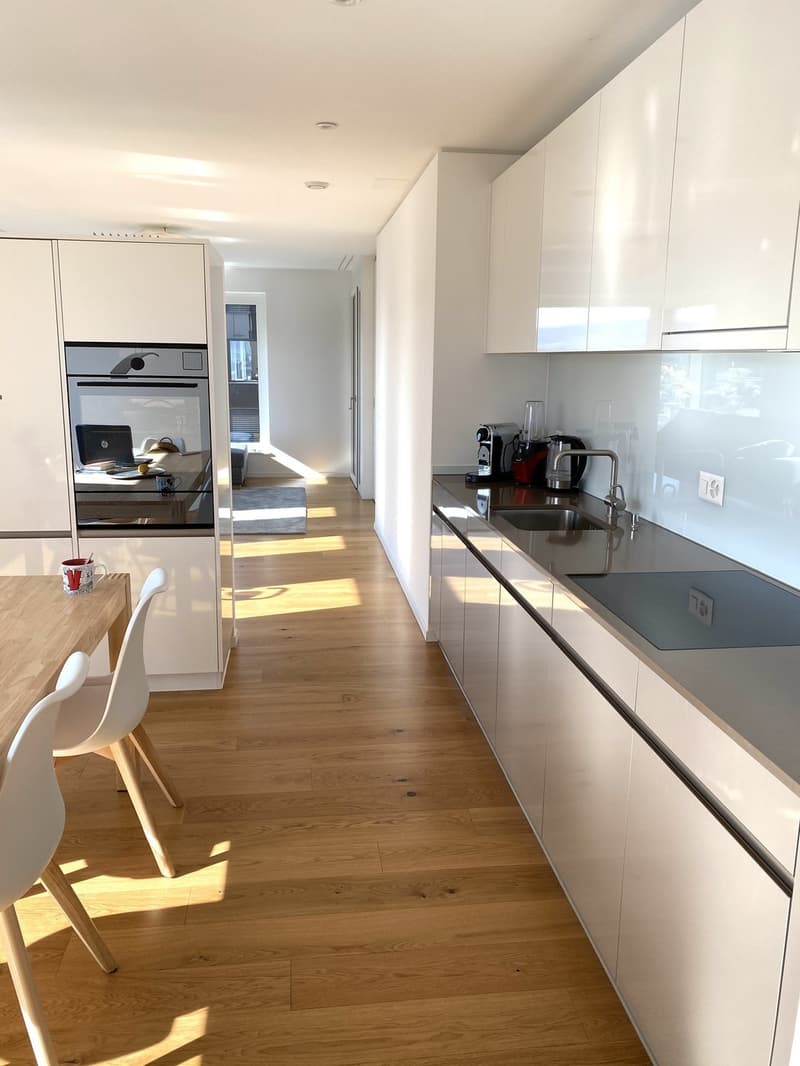 WG Zimmer in Luxus Apartment in Zürich (4)