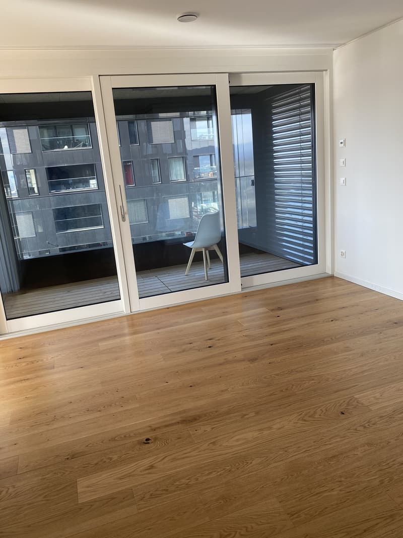 WG Zimmer in Luxus Apartment in Zürich (13)
