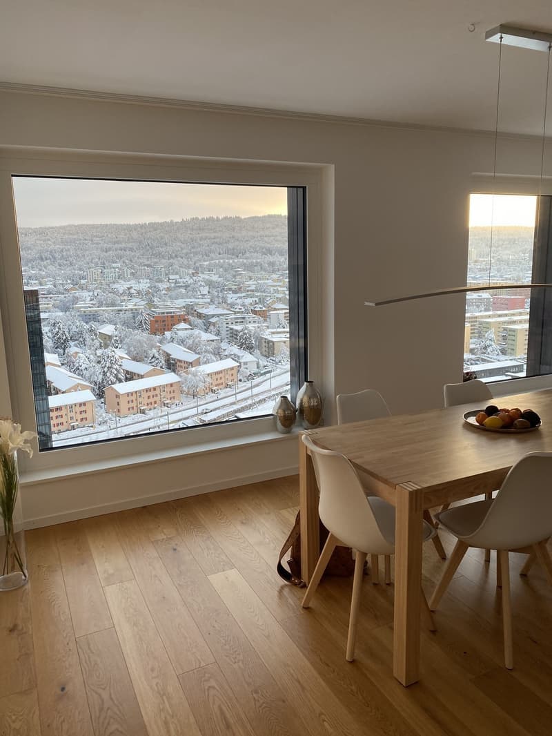WG Zimmer in Luxus Apartment in Zürich (5)