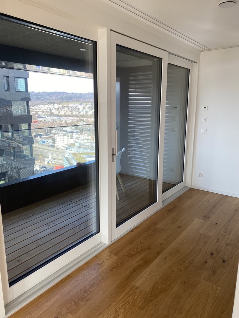 WG Zimmer in Luxus Apartment in Zürich (12)