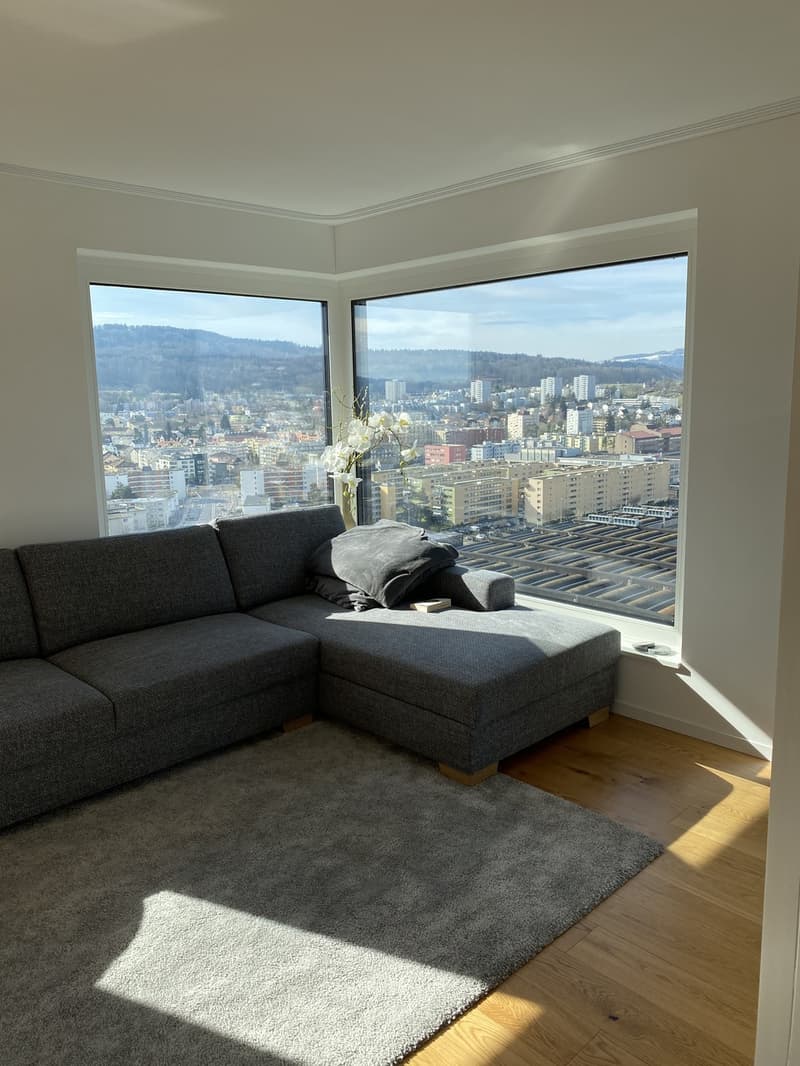 WG Zimmer in Luxus Apartment in Zürich (8)