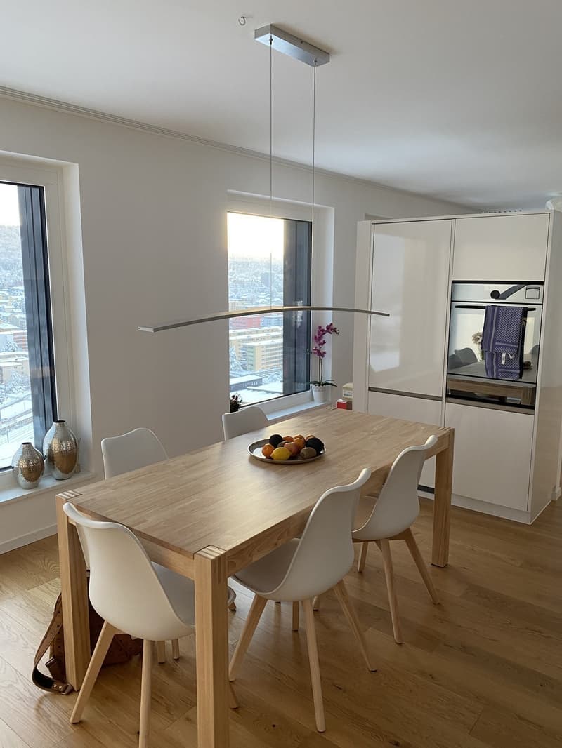 WG Zimmer in Luxus Apartment in Zürich (1)